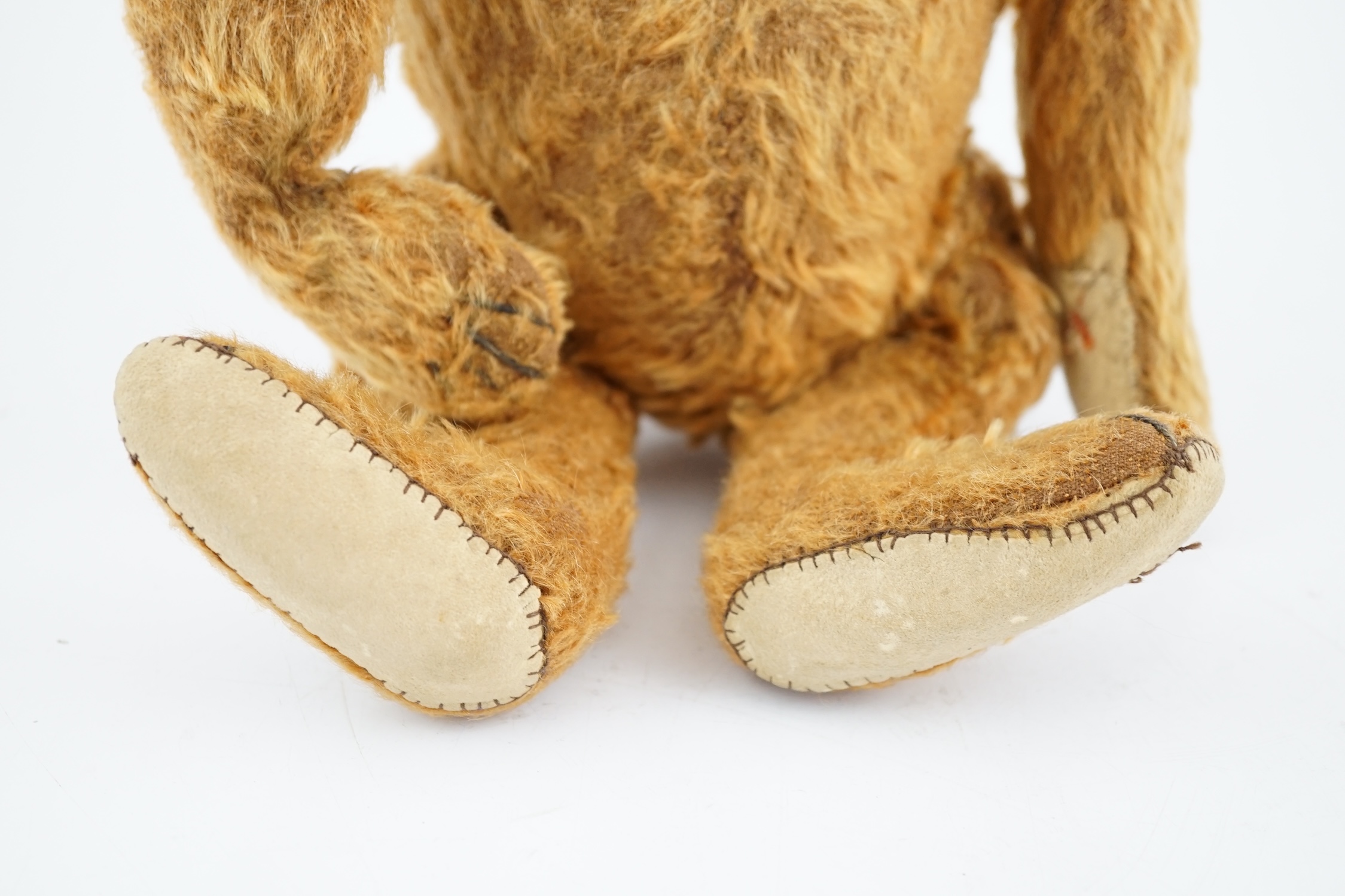 A cinnamon Steiff bear c.1908, with button paw pads, stuffing missing in arms, hair loss to head, muzzle repaired, general hair loss, 41cm